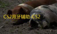 CS2月牙辅助-CS2单透版月牙稳定插件